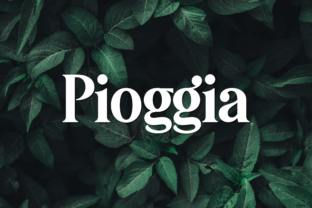 Pioggia Display Font for Modern Campaign Visuals