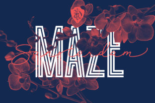 Sansterdam Maze Display Font for Bold Brand Identity