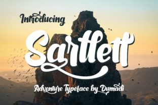 Sarllett Display Font for Editorial Charm