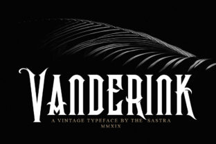 Vanderink Display Font for Polished Brand Identity